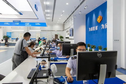 探索安徽国税网，一站式税务服务的便捷与高效