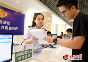 探索安徽国税网，一站式税务服务的便捷与高效