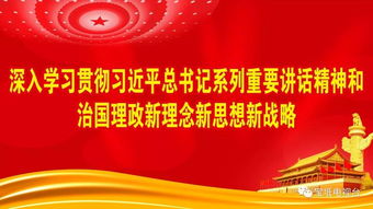 创业贷款条件，解锁资金支持，助力您的商业梦想