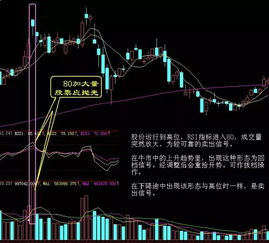 深入解析除息除权日，投资者必知的股息与股价调整机制