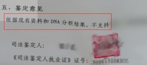 揭秘亲子鉴定，简单、清晰、实用指南
