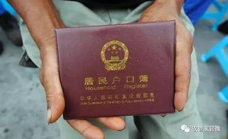 河南取消农业户口，城乡一体化的新篇章