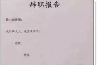 告别与新生，如何优雅地撰写辞职信