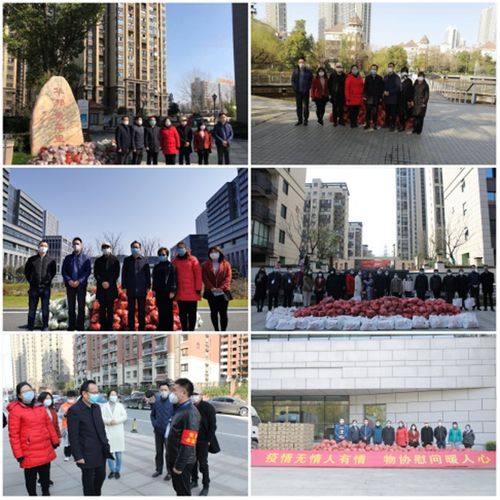 北京疫情最新动态，深入了解与应对策略