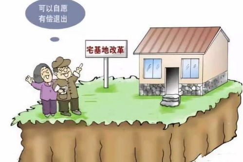 农村宅基地政策新变化，农民朋友必读指南