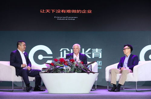 全球视野下的机遇与挑战，深入理解外国投资法