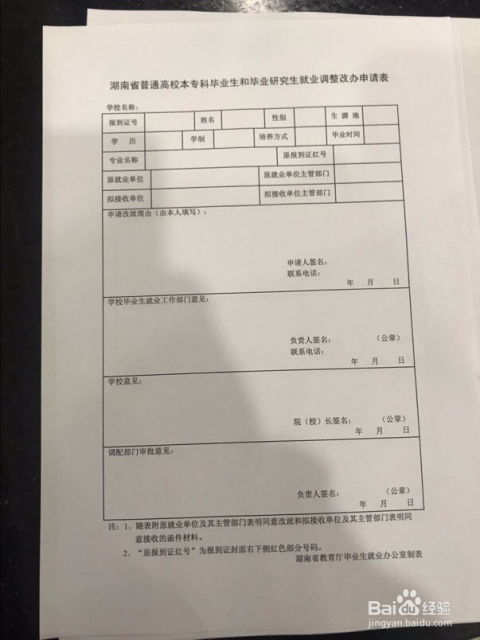 报到证改派，职场新人的必经之路与应对策略