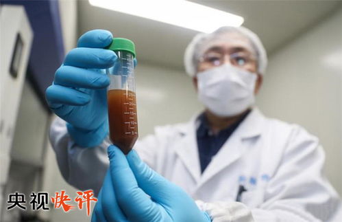 上海疫情新观察，防控措施与市民生活现状