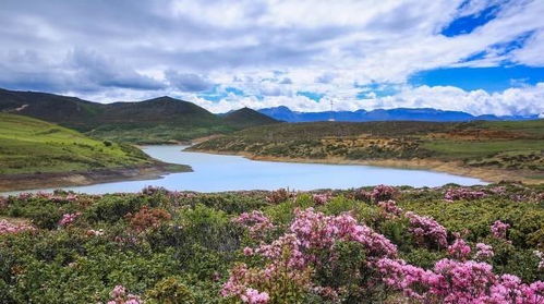去哪儿网酒店团购，省钱旅行的新选择