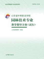成为高效董事长助理，技能、策略与职业发展指南