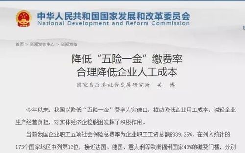 全面解析，五险一金的费用与影响
