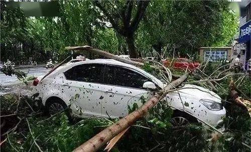 冰雹来袭，爱车受损怎么办？一文教你保险理赔全攻略