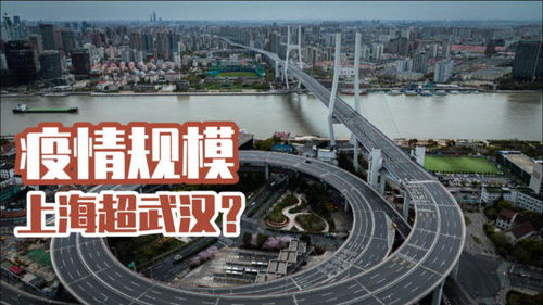 上海疫情，规模与挑战