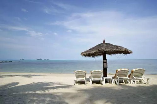 三十而立，单身亦精彩，拥抱30岁未婚的自由与成长