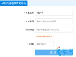 锦州车辆违章查询，便捷、高效、透明的违章处理指南