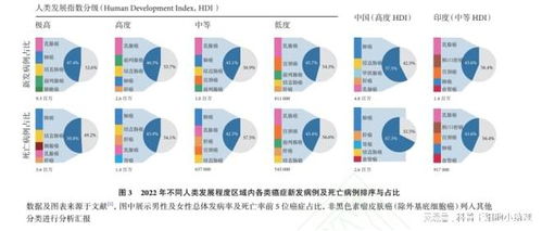 深圳疫情最新数据解读，防控措施与未来展望