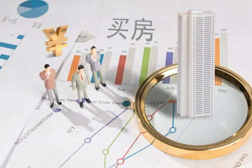买房的流程，从梦想到现实的指南