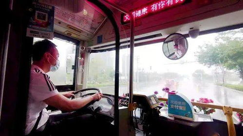 成都公交车爆炸事件，安全意识与城市应急响应的深刻教训