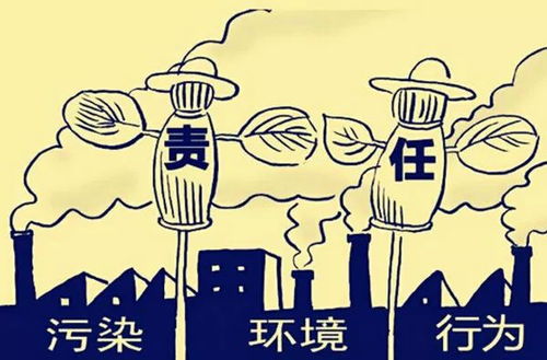 深入探讨环境污染事件，原因、影响及应对策略