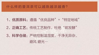 什么是理事会，深入了解其结构、功能和重要性