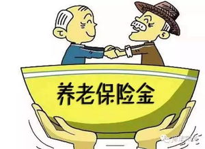 职工基本养老保险制度，保障未来，共享繁荣