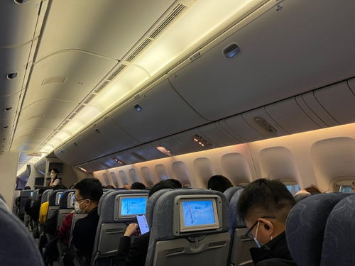 北京疫情新动态，67例感染者详情解析与防控策略