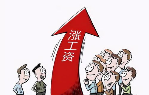 黑龙江省公务员工资，稳定收入背后的生活画卷