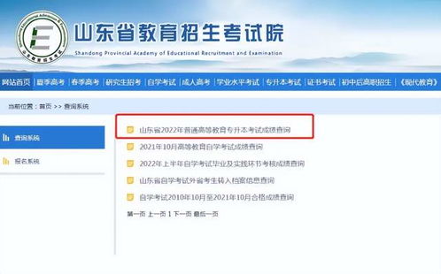 深入了解国家司法考试成绩查询，流程、技巧与实用建议