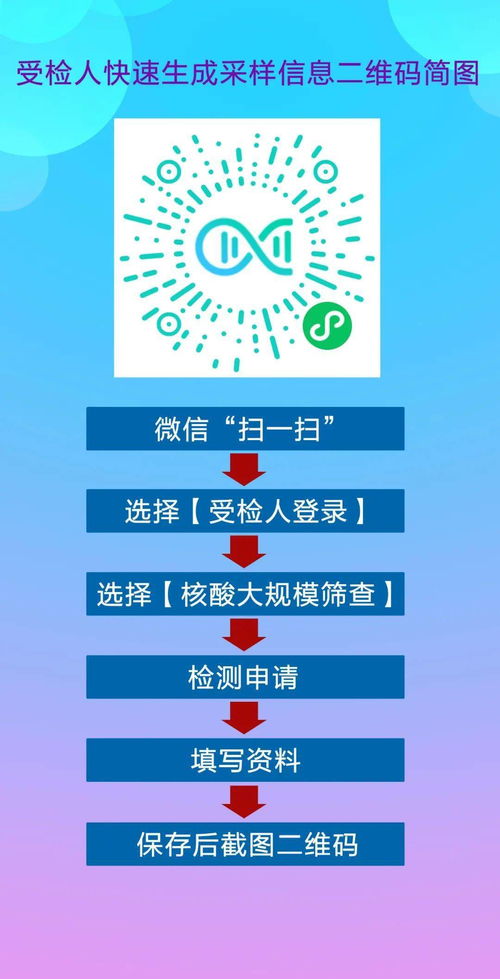 疫情高峰进度，理解、应对与未来展望