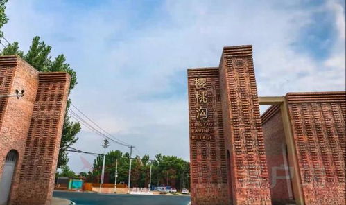 郑州今日动态，城市发展新篇章与市民生活新变化