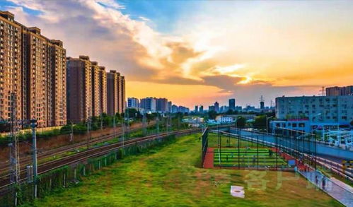 郑州今日动态，城市发展新篇章与市民生活新变化