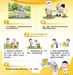 守护健康，深入理解食品安全的重要性