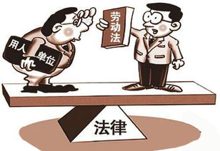 追债的艺术，如何通过正规追债公司解决财务困境