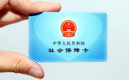 厦门社保卡查询，一站式指南