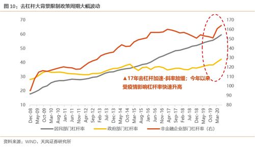 深入了解木材进口关税，影响因素、政策变化及应对策略