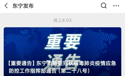 黑龙江疫情新动态，昨日新增本土确诊4例的深入解析