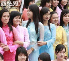 我的越南老婆，跨文化婚姻中的爱与挑战