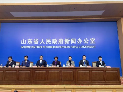 山东人代会，民主的实践与地方治理的窗口