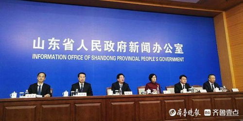 山东人代会，民主的实践与地方治理的窗口