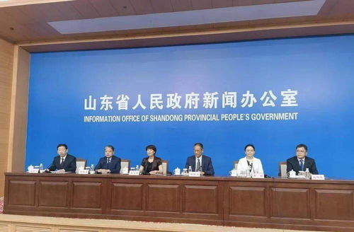 山东人代会，民主的实践与地方治理的窗口