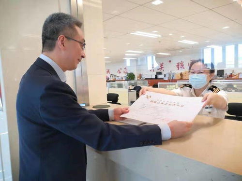 深入了解上海海关，电话服务与高效沟通的艺术