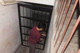 地窖囚禁少女，理解与预防家庭暴力的重要性