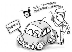 违章停车罚款，了解规则，避免不必要的经济损失