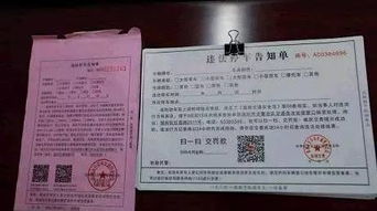 违章停车罚款，了解规则，避免不必要的经济损失