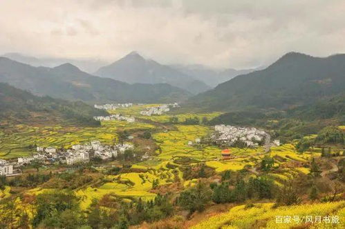 阳朔县委书记，引领绿色发展，打造世界级旅游目的地