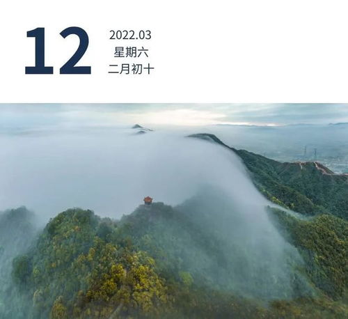 广州海珠区疫情新动态，新增1例确诊病例，防控措施升级，市民生活影响几何？