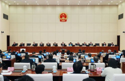 深入理解全国人大专门委员会，职能、作用与未来展望