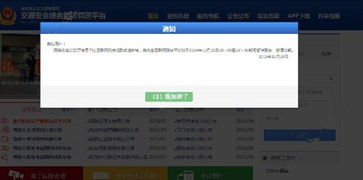 交管12123服务异常，原因、影响及应对策略