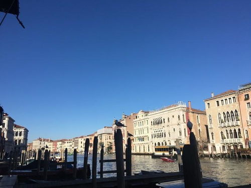 开启法国留学之旅，深入了解留学条件与准备