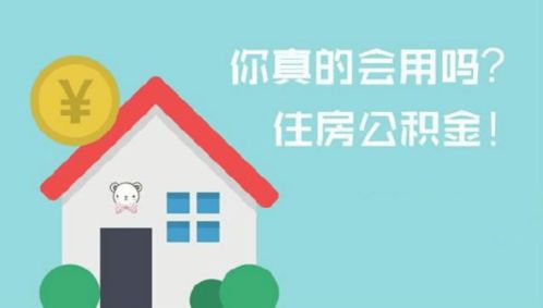 深入了解上海公积金，您的住房储蓄利器
